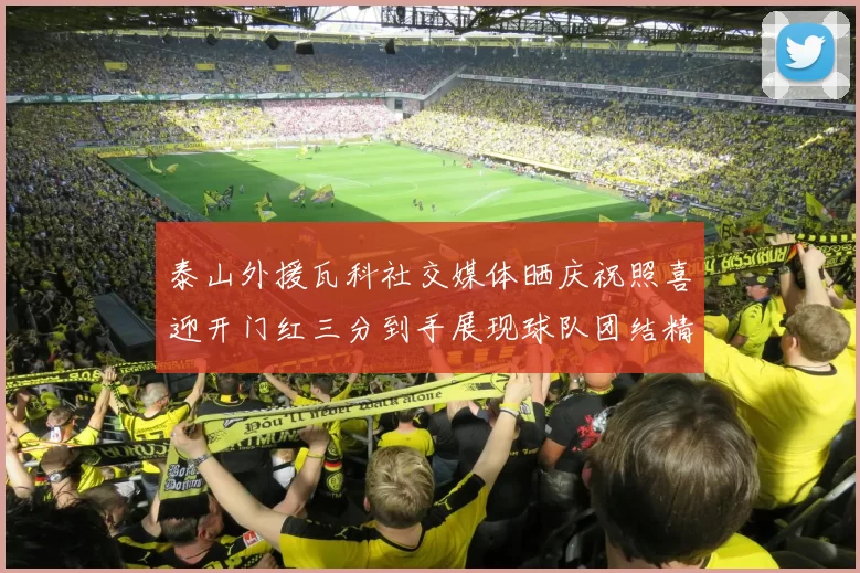 泰山外援瓦科社交媒体晒庆祝照喜迎开门红三分到手展现球队团结精神
